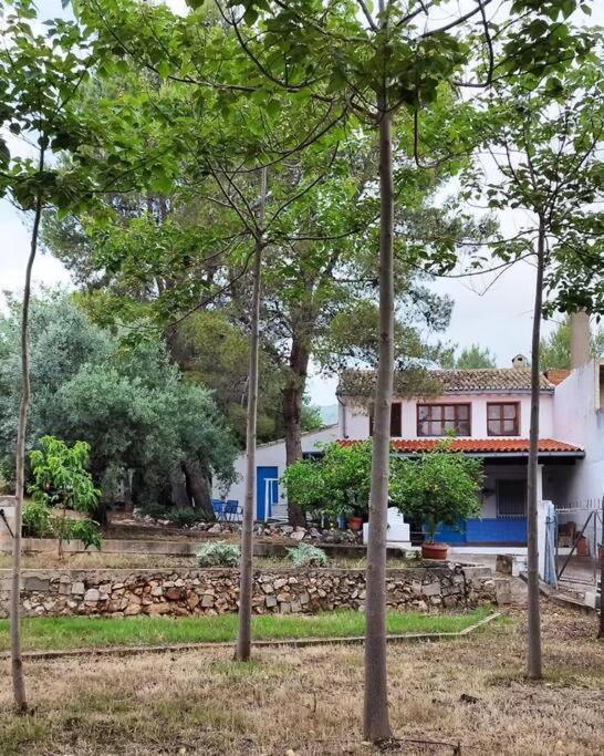 La Caseta De Rotova - Casa Rural Para Desconectar Dış mekan fotoğraf