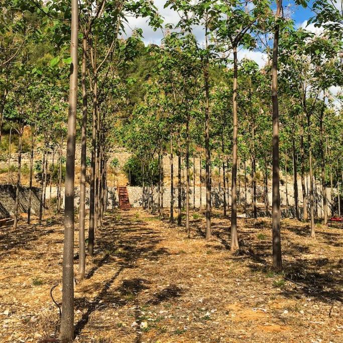 La Caseta De Rotova - Casa Rural Para Desconectar Dış mekan fotoğraf