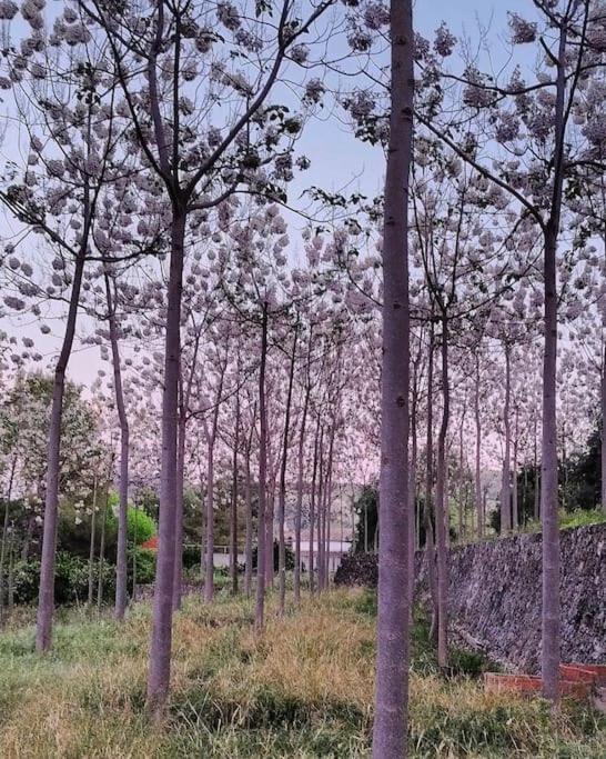 La Caseta De Rotova - Casa Rural Para Desconectar Dış mekan fotoğraf