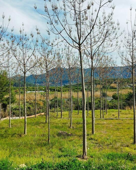 La Caseta De Rotova - Casa Rural Para Desconectar Dış mekan fotoğraf